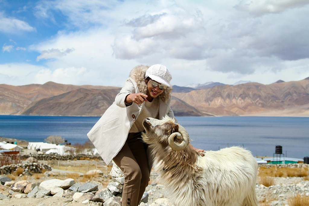Beautiful Ladakh with Luxury Hotels